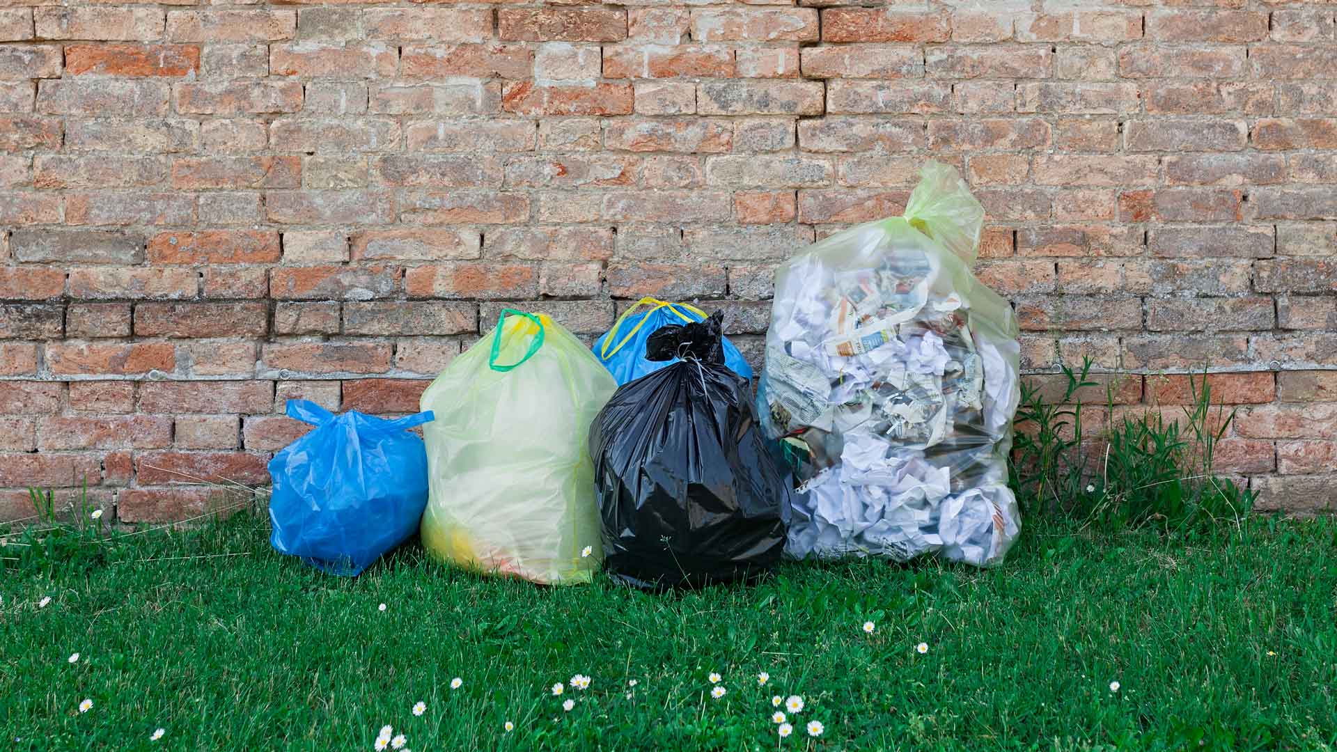 Sacchi LDPE in plastica riciclata picture